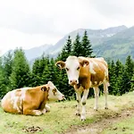 Landeckalm Сasa de vacaciones *