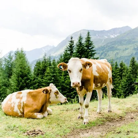 Landeckalm Vakantiehuis *