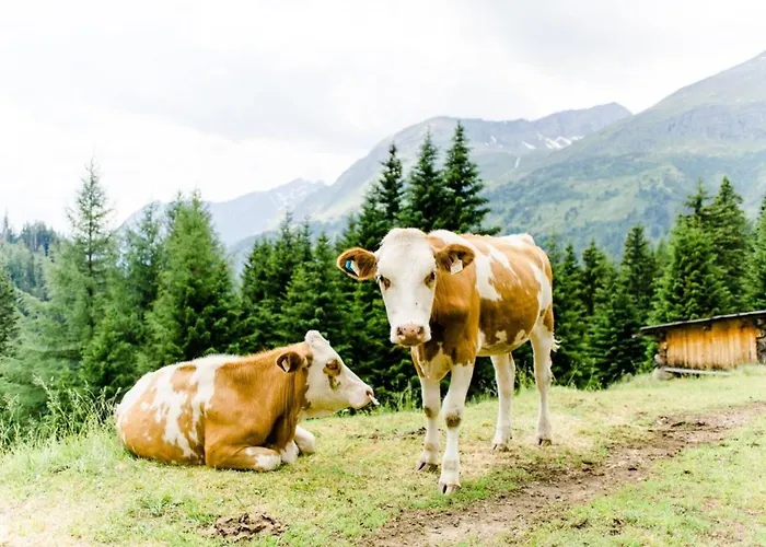 Landeckalm Vakantiehuis *